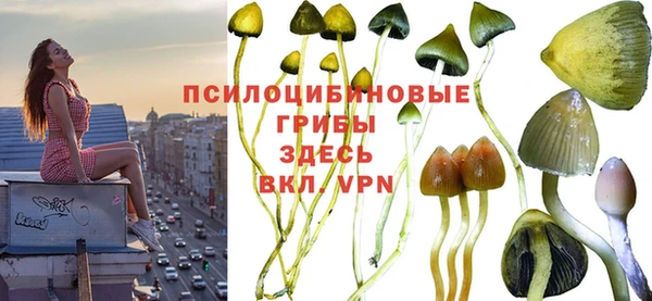mdma Богородицк