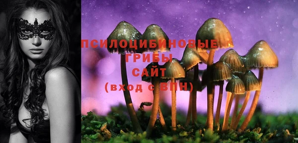 mdma Богородицк